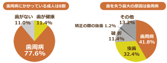 西国分寺たけのこ歯科クリニック