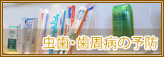 虫歯・歯周病の予防